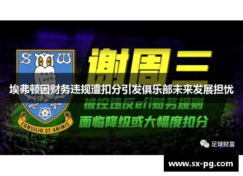 埃弗顿因财务违规遭扣分引发俱乐部未来发展担忧