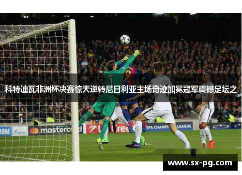 科特迪瓦非洲杯决赛惊天逆转尼日利亚主场奇迹加冕冠军震撼足坛之